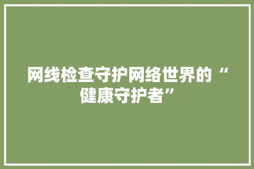 网线检查守护网络世界的“健康守护者”