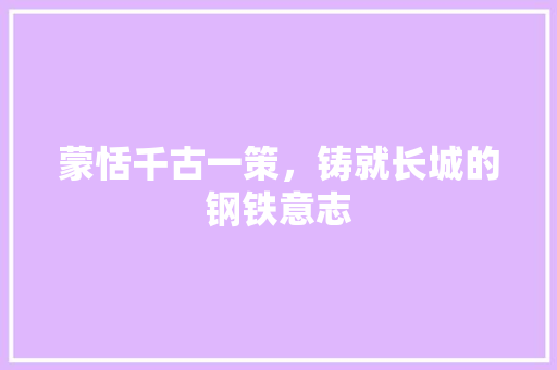 蒙恬千古一策，铸就长城的钢铁意志