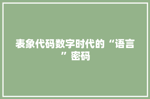 表象代码数字时代的“语言”密码