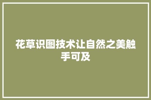 花草识图技术让自然之美触手可及  第1张
