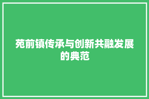 苑前镇传承与创新共融发展的典范