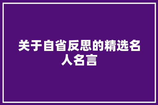 药水哥代码背后的智慧AI编程的奥秘