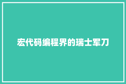 宏代码编程界的瑞士军刀
