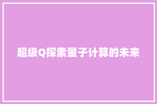 超级Q探索量子计算的未来