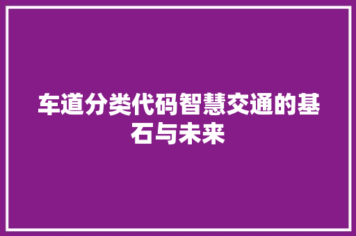 车道分类代码智慧交通的基石与未来