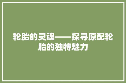 轮胎的灵魂——探寻原配轮胎的独特魅力