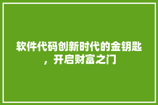 软件代码创新时代的金钥匙，开启财富之门