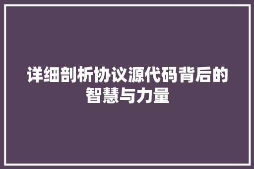 详细剖析协议源代码背后的智慧与力量
