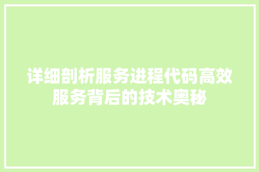 详细剖析服务进程代码高效服务背后的技术奥秘
