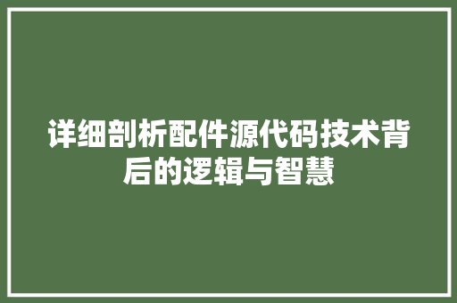 详细剖析配件源代码技术背后的逻辑与智慧