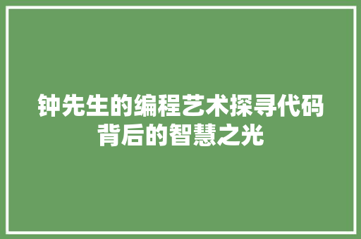 钟先生的编程艺术探寻代码背后的智慧之光