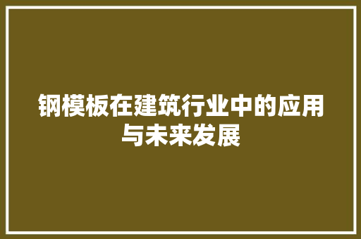钢模板在建筑行业中的应用与未来发展