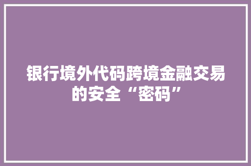 银行境外代码跨境金融交易的安全“密码”