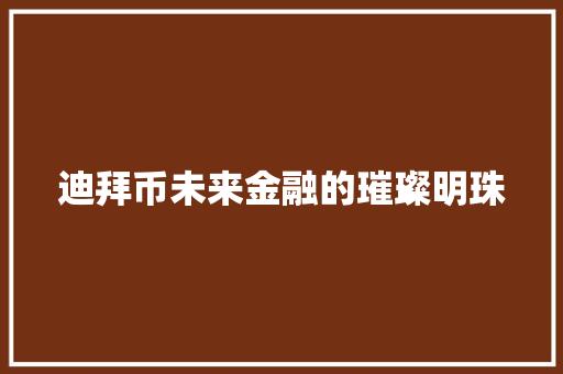 迪拜币未来金融的璀璨明珠