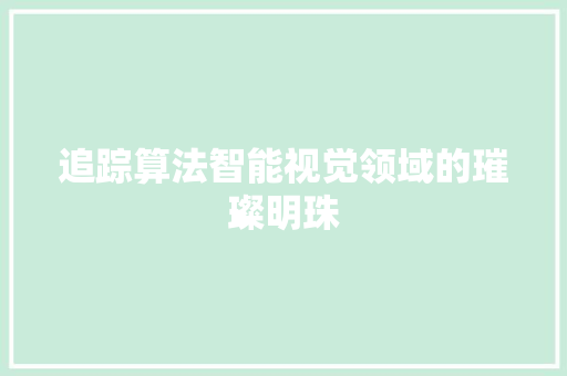 追踪算法智能视觉领域的璀璨明珠