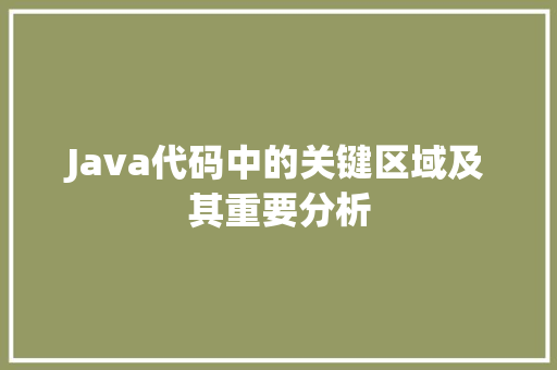 Java代码中的关键区域及其重要分析  第1张