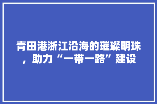 青田港浙江沿海的璀璨明珠，助力“一带一路”建设
