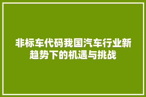 非标车代码我国汽车行业新趋势下的机遇与挑战