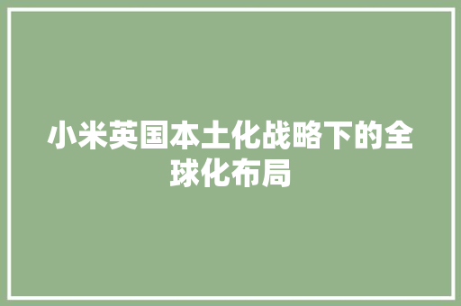小米英国本土化战略下的全球化布局