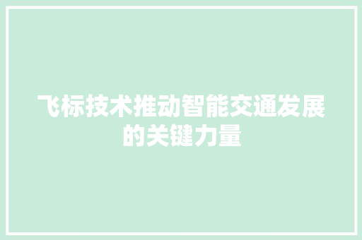 飞标技术推动智能交通发展的关键力量