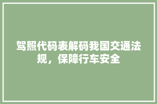 驾照代码表解码我国交通法规，保障行车安全