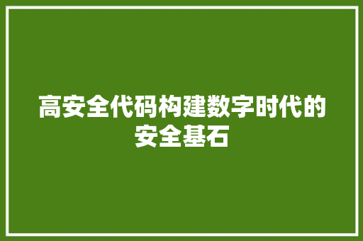 高安全代码构建数字时代的安全基石