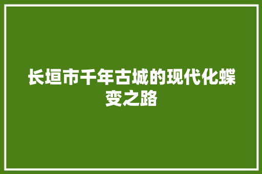 长垣市千年古城的现代化蝶变之路