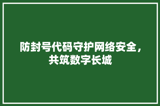 防封号代码守护网络安全，共筑数字长城