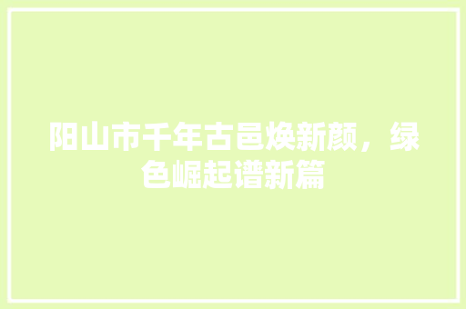 阳山市千年古邑焕新颜，绿色崛起谱新篇