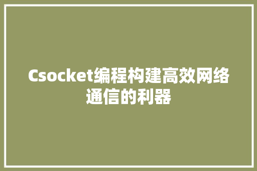 Csocket编程构建高效网络通信的利器