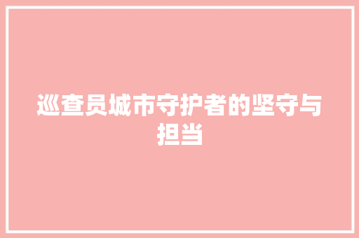 巡查员城市守护者的坚守与担当