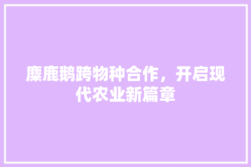 麋鹿鹅跨物种合作，开启现代农业新篇章