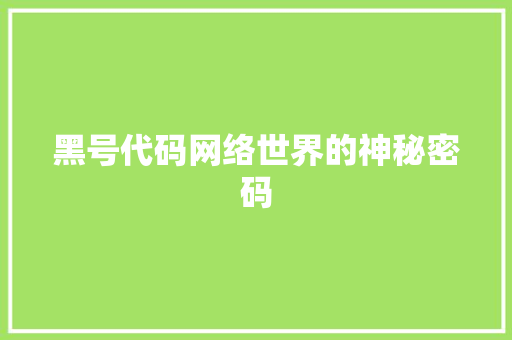 黑号代码网络世界的神秘密码