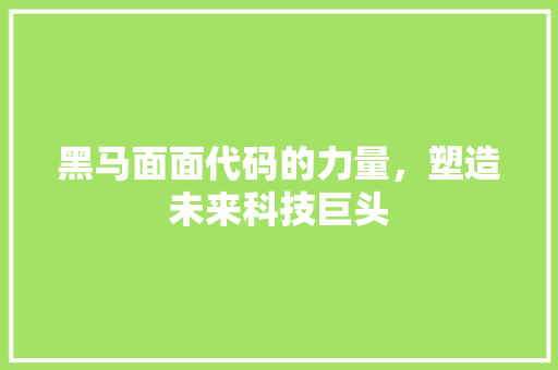 黑马面面代码的力量，塑造未来科技巨头