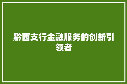 黔西支行金融服务的创新引领者  第1张