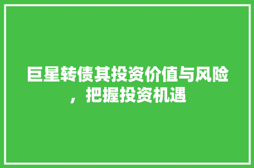 巨星转债其投资价值与风险，把握投资机遇