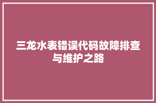 三龙水表错误代码故障排查与维护之路