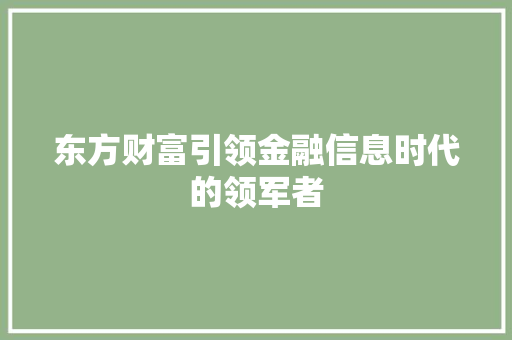 东方财富引领金融信息时代的领军者