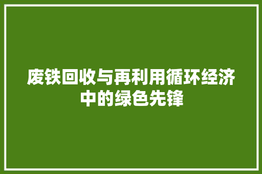 废铁回收与再利用循环经济中的绿色先锋