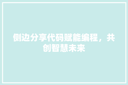 侧边分享代码赋能编程，共创智慧未来