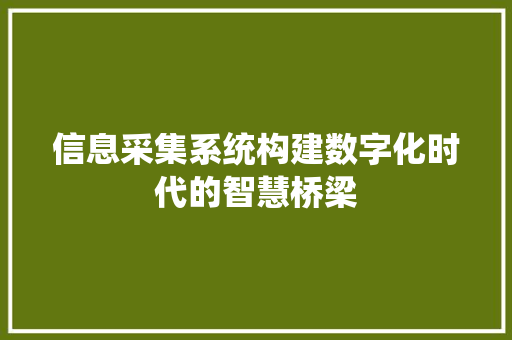 信息采集系统构建数字化时代的智慧桥梁