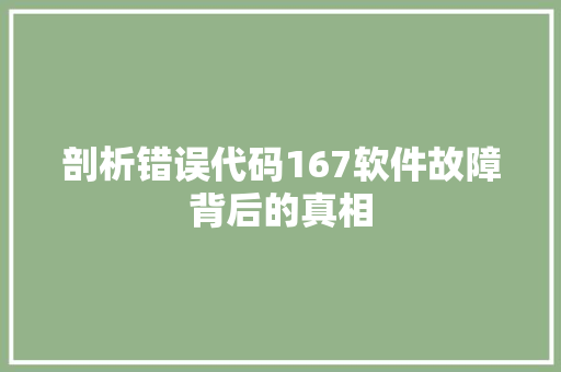 剖析错误代码167软件故障背后的真相