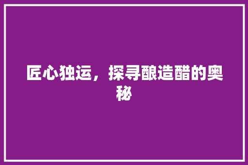 匠心独运，探寻酿造醋的奥秘