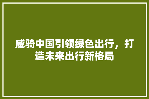 威骑中国引领绿色出行，打造未来出行新格局
