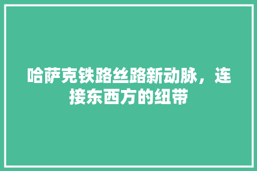 哈萨克铁路丝路新动脉，连接东西方的纽带