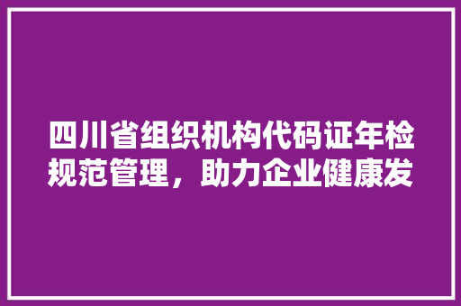 四川省组织机构代码证年检规范管理，助力企业健康发展