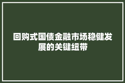 回购式国债金融市场稳健发展的关键纽带