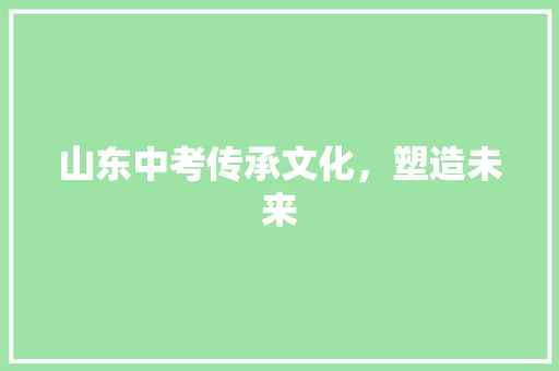 山东中考传承文化，塑造未来