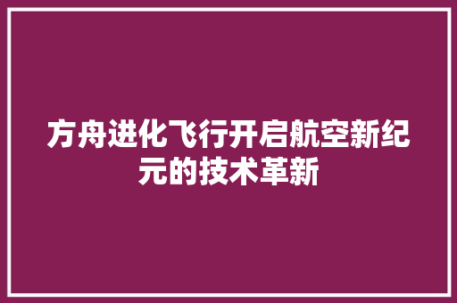 方舟进化飞行开启航空新纪元的技术革新