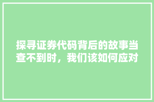 探寻证券代码背后的故事当查不到时，我们该如何应对